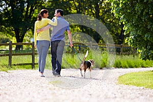 Rear View Of Hispanic Couple Walking Dog