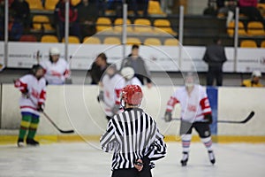 Rear view of ice hockey referee