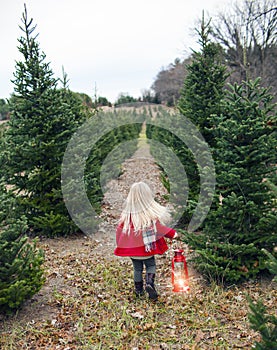 Rear view of little girl walking along fir tree alley