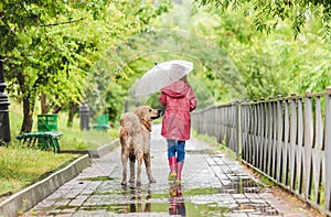 Little girl walking dog under rain