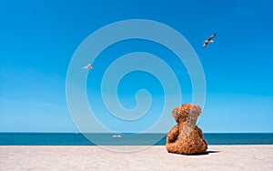 Rear view Lonely Teddy bear doll sitting alone by the beach with blue sea and sky background.Rae view Brown bear toy sitting