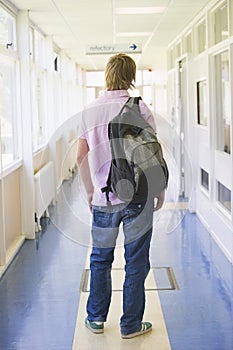 Rear view of male college student