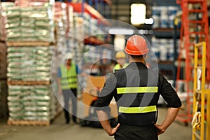 Rear view of male manager wearing hardhats and reflective jackets standing in a warehouse with packed boxes on shelves