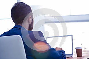 Rear view of male professional working on laptop