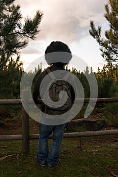 Rear view of a man with afro style hair standing in the forest