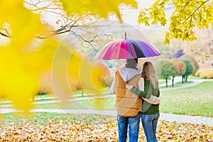 Rear view of man holding umbrella while enjoying the lovely view with his wife in park