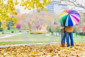 Rear view of man holding umbrella while enjoying the lovely view with his wife in park