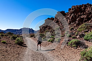 Rear view of man on scenic hiking trail through a canyon near Montana Majua in volcano Mount Teide National Park, Tenerife, Spain photo