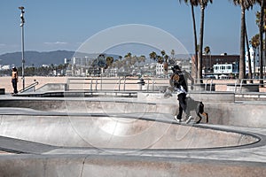 Rear view of man with skateboard and dog running on ramp at skatepark