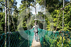 Rear view of man at tree top canopy walkway in Danum Valley Borneo rain forest in Lahad datu Sabah Malaysia