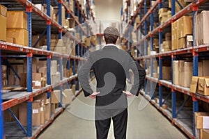 Rear View Of Manager In Warehouse