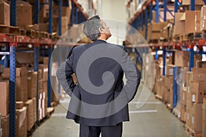 Rear View Of Manager In Warehouse