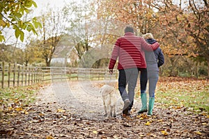 Rear View Of Mature Couple On Autumn Walk With Labrador