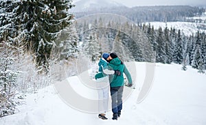 Rear view of mature couple walking arm in arm outdoors in winter nature, Tatra mountains Slovakia.