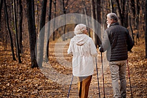 Rear view on mature couple walking with nordic walking poles in autumn forest.