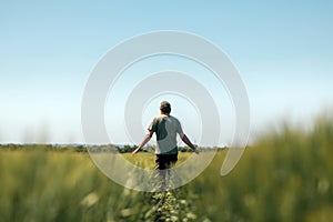 Rear view of middle-aged farm worker wearing green trucker hat and t-shirt walking through cultivated barley crops field on sunny