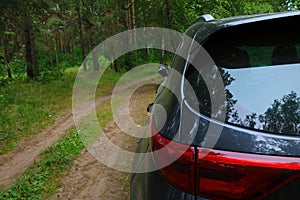 Rear view of a modern car in the forest