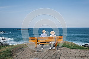 rear view of an old couple sitting on the bench looking at ocean