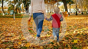 Rear view photo of little boy holding his mother by hand and walking at autumn park