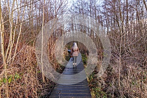 Rear view of a senior adult woman walking on a wooden path in muddy terrain