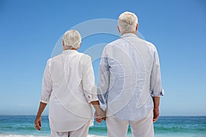 Rear view of a senior couple holding hands