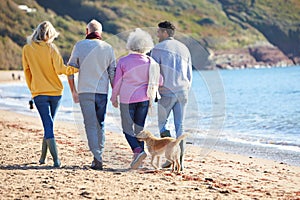 Rear View Of Senior Couple Walking Along Shoreline With Adult Offspring And Dog On Winter Beach