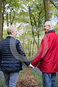 Rear View Of Senior Couple Walking Hand In Hand Through Bluebell