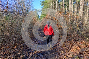 Rear view of senior female hiker walking with her dachshund on muddy trail