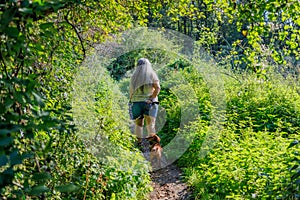 Rear view of a senior female hiker walking on a narrow trail with her dog among abundant wild vegetation