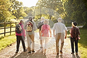 Rear View Of Senior Friends Hiking In Countryside