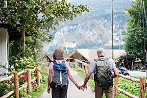 A rear view of senior pensioner couple hiking, walking.