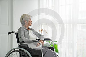 Rear view of a senior woman sitting on wheelchair looking outside the window. Old woman in hospital room sitting near window and