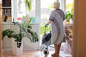 Rear view of a senior woman with walking frame