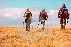 Rear view shot of young friends in countryside during summer holiday hiking. Group of hikers walking in the nature.