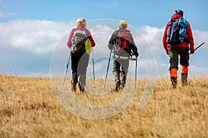 Rear view shot of young friends in countryside during summer holiday hiking. Group of hikers walking in the nature.