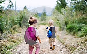 Rear view of small children hiking outdoors in summer nature.