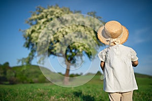 Rear view of small toddler girl walking on meadow outdoors in summer.