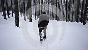 Rear view of stylish man walking in winter. Media. Stylish shooting of man walking in winter forest. Man walks with