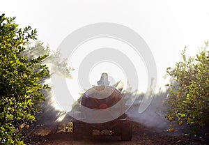 Rear view of Tractor spraying pesticide and insecticide on lemon plantation in Spain. Weed insecticide fumigation. Organic