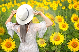 Rear view of travel lifestyle women with hands up hat in sunflower field, in summer day and happy vocations