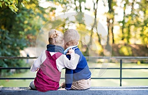 Rear view of twin toddler sibling boy and girl sitting in autumn forest.