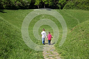 Rear View Of Two Little Boys Holding Hands And Walking Through The Green Field Towards The Forest