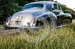 Rear view of vintage luxery limousine through tall grass on a rural Texas road.
