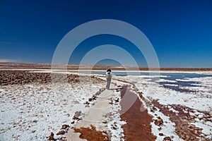 Rear view of walkin walking along salar