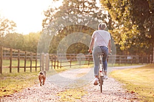 Rear View Of Woman With Pet Dog Riding Bike Along Country Lane At Sunset