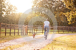 Rear View Of Woman With Pet Dog Riding Bike Along Country Lane At Sunset