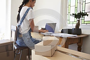 Rear View Of Woman Running Business From Home Dispatching Goods