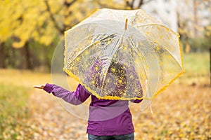 Rear view of a woman with an umbrella walking in a park during a rainy autumn