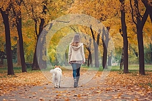 Rear view of a woman walking dog in a beautiful park in autumn