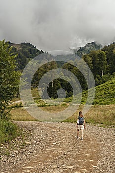 Rear view of young blonde woman with backpack walking uphill along trail on background of mountain covered with forest, active